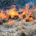 Beneath the smoke of Laughlin’s controlled burn