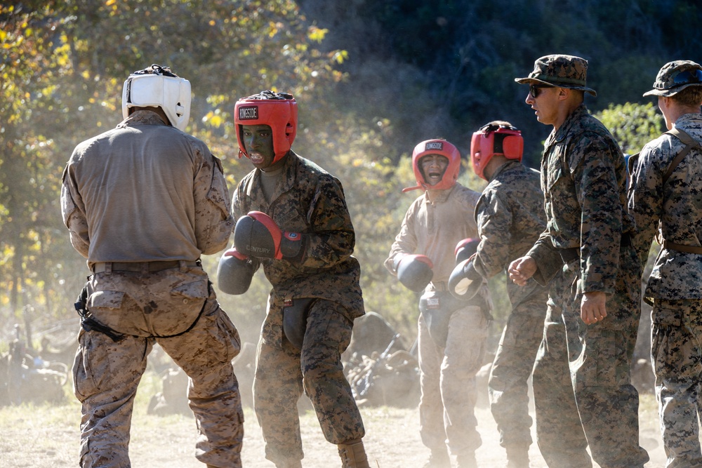 Training Command hosts Senior Leaders’ Call at Camp Pendleton California