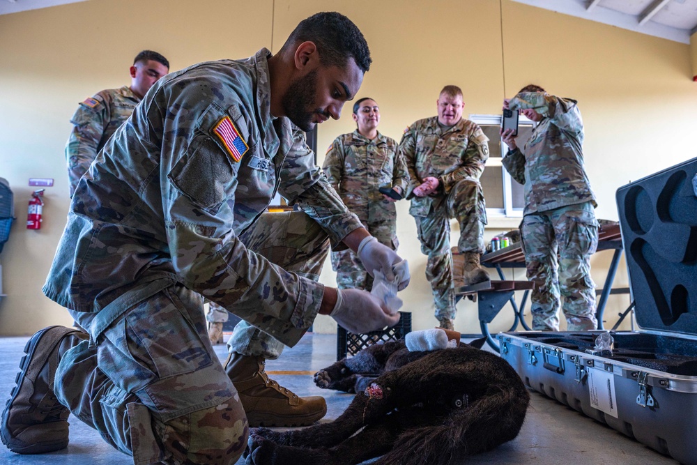 JTF-Bravo vets train MWD handlers on trauma care