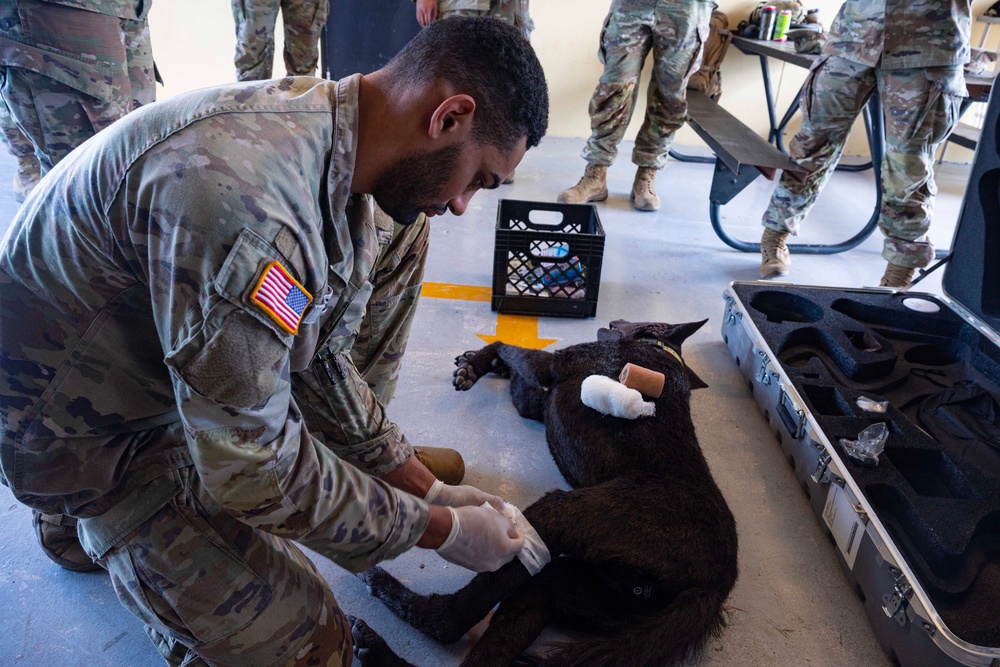 JTF-Bravo vets train MWD handlers on trauma care
