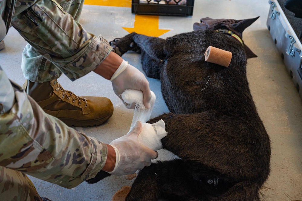 JTF-Bravo vets train MWD handlers on trauma care