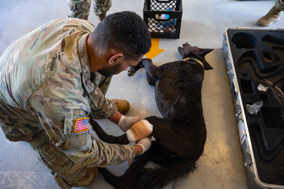 JTF-Bravo vets train MWD handlers on trauma care