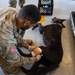 JTF-Bravo vets train MWD handlers on trauma care