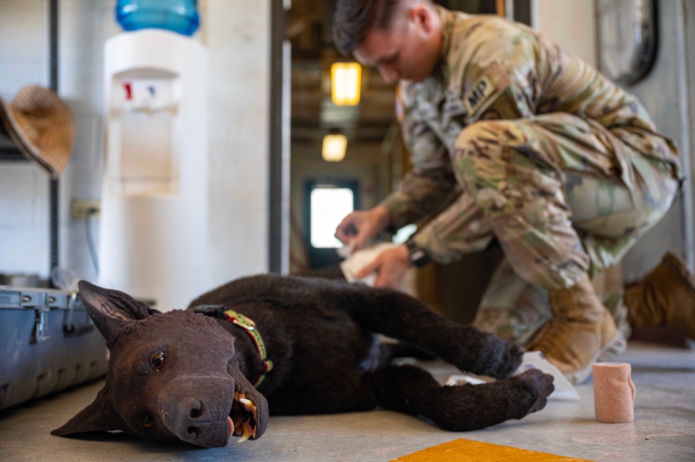 JTF-Bravo vets train MWD handlers on trauma care