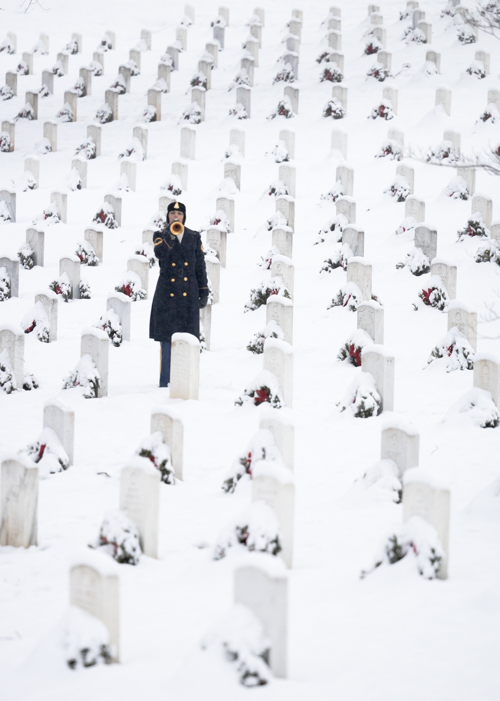 U.S. Army Band Bugler in Snowstorm
