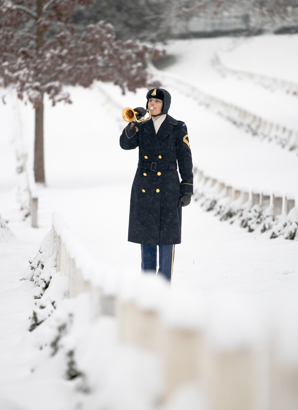 U.S. Army Band Bugler in Snowstorm