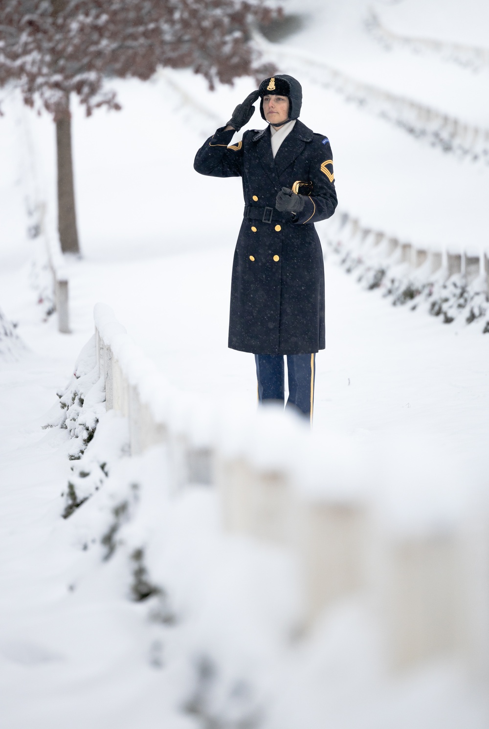 U.S. Army Band Bugler in Snowstorm