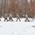 Air National Guard Cold Weather Operations Course