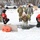 Air National Guard Cold Weather Operations Course