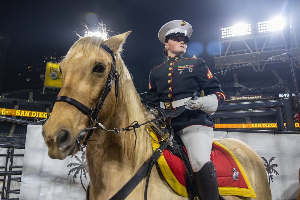 U.S. Marine Corps Mounted Color Guard performs at San Diego Rodeo 2024