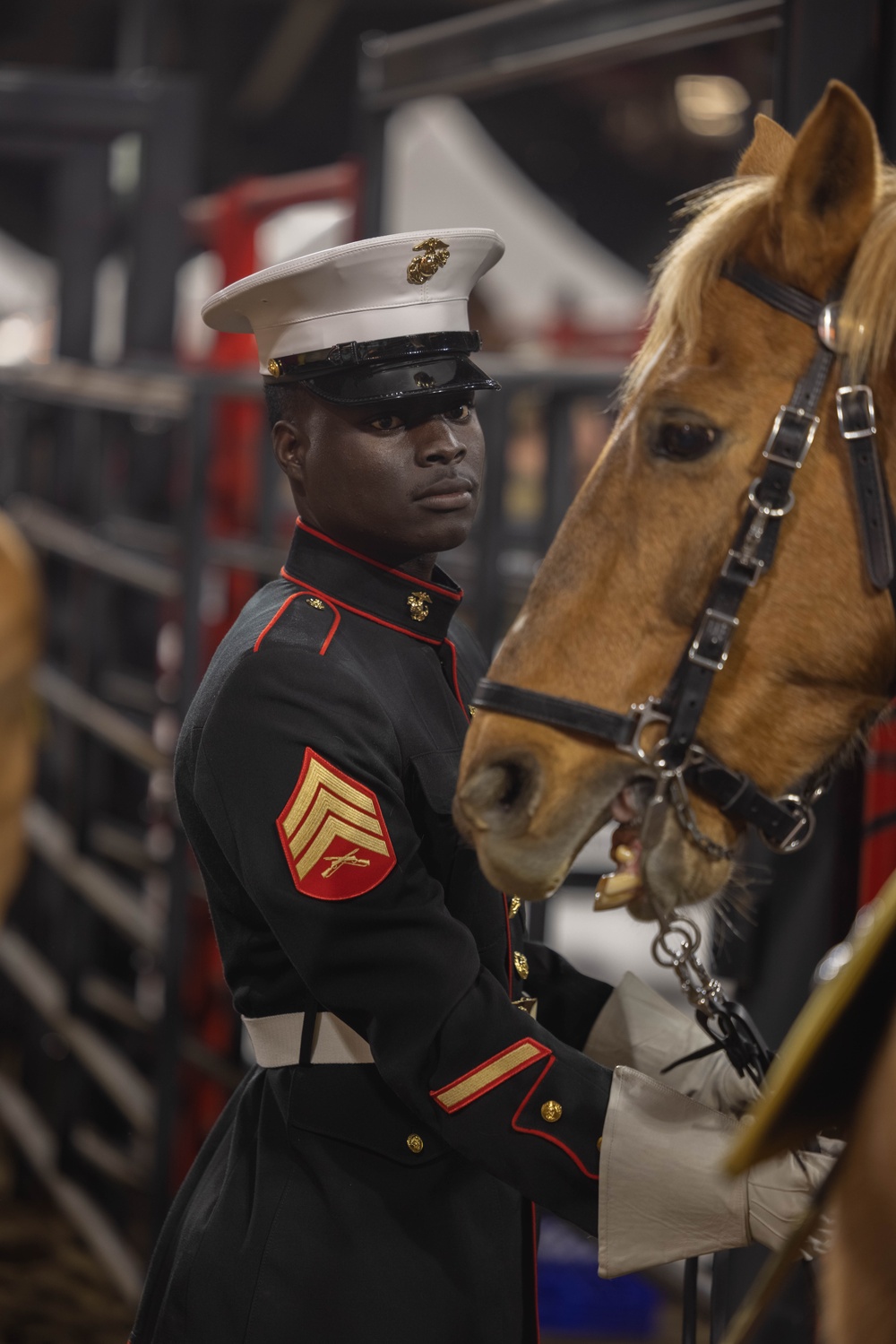 U.S. Marine Corps Mounted Color Guard performs at San Diego Rodeo 2024