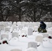 Wreaths Out at Arlington National Cemetery 2024