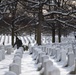 Wreaths Out at Arlington National Cemetery 2024