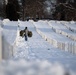 Wreaths Out at Arlington National Cemetery 2024