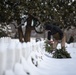 Wreaths Out at Arlington National Cemetery 2024