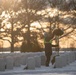 Wreaths Out at Arlington National Cemetery 2024