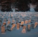 Wreaths Out at Arlington National Cemetery 2024