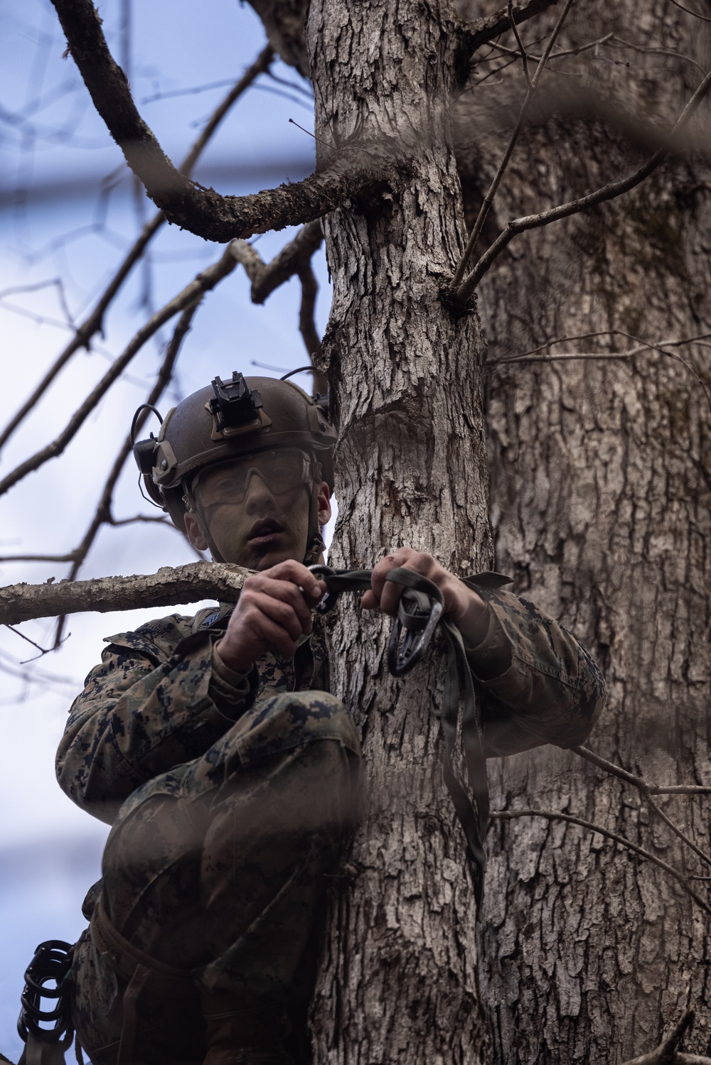 Charlie Co., BLT 1/8 Conducts TRAP