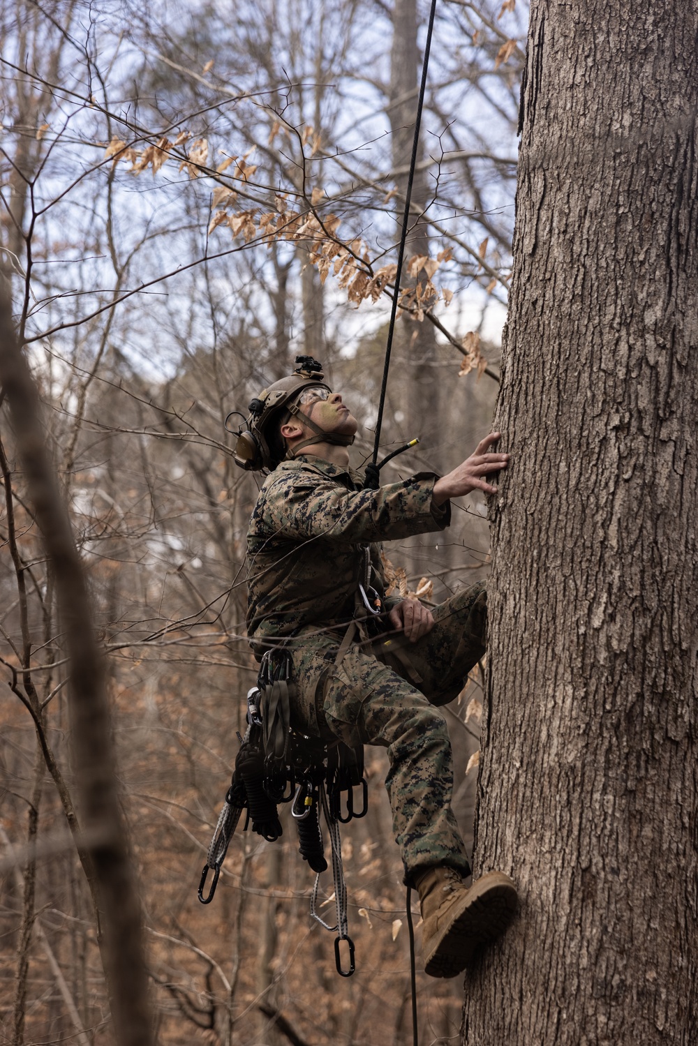 Charlie Co., BLT 1/8 Conducts TRAP