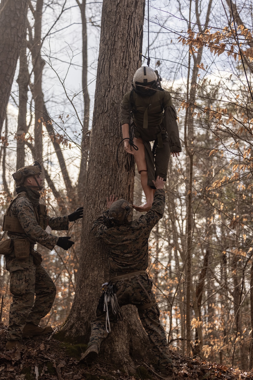 Charlie Co., BLT 1/8 Conducts TRAP