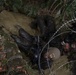 Enhancing lethality at Jungle Warfare Training Center