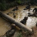 Enhancing lethality at Jungle Warfare Training Center