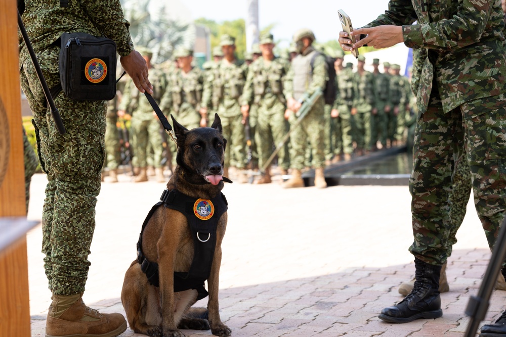 Infanteria de Marina de Colombia graduates first female recruits