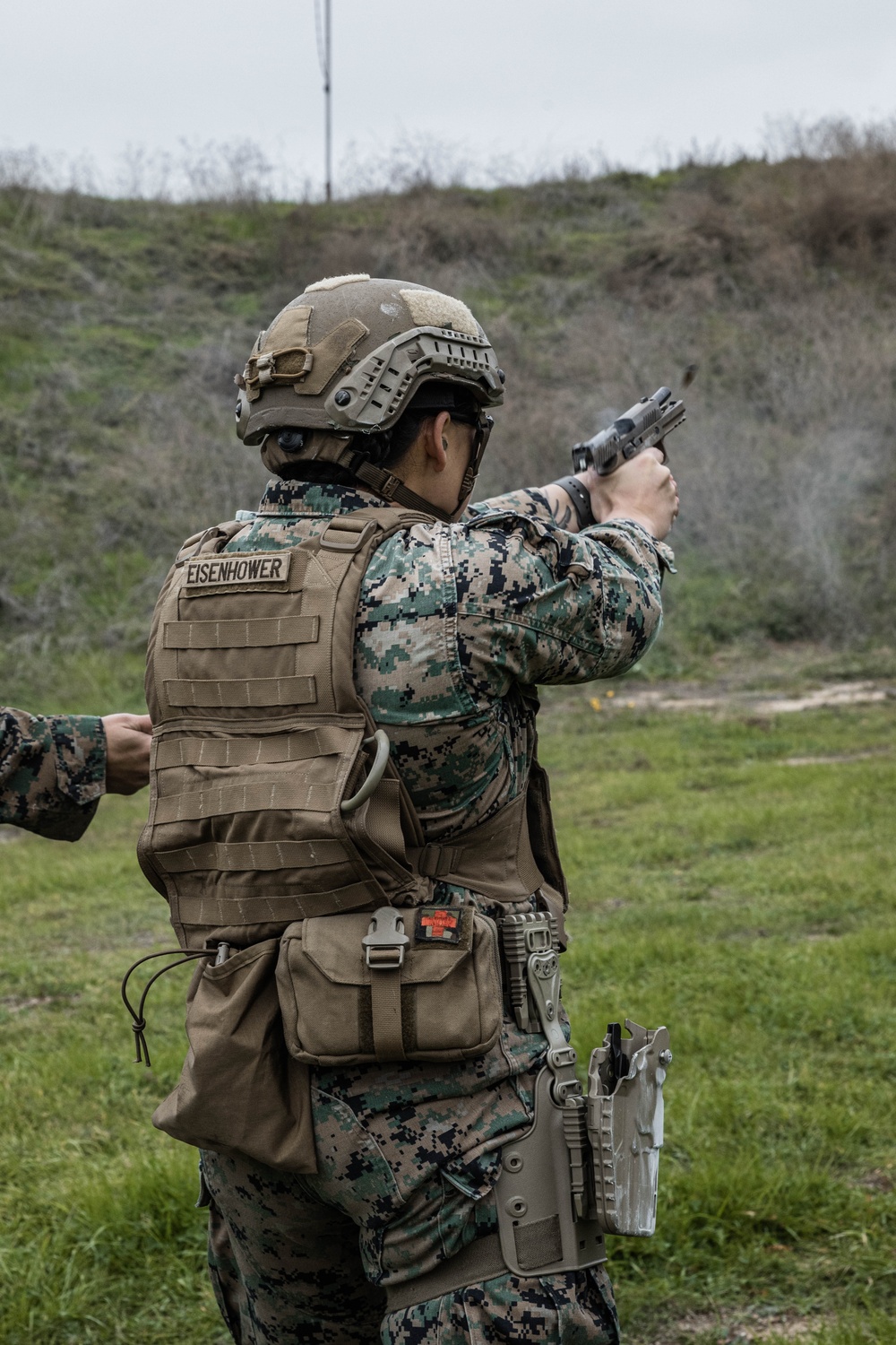 Depot Competition in Arms Program