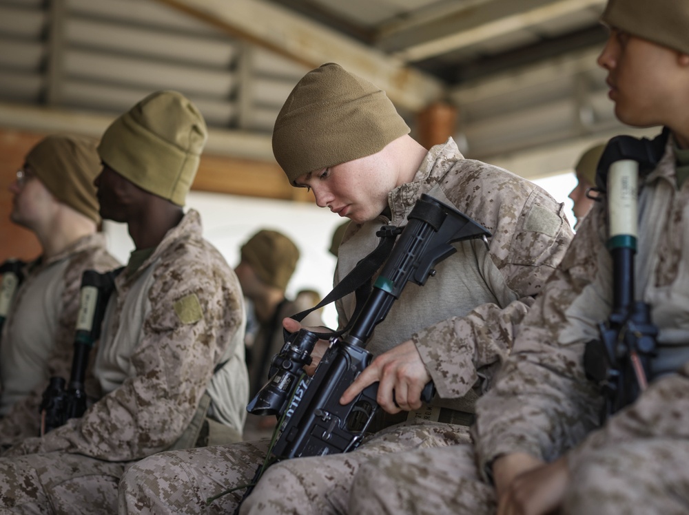 Fox Company Grass Week