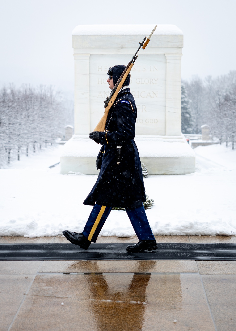 The Tomb of the Unknown Soldier in a Snowstorm