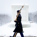 The Tomb of the Unknown Soldier in a Snowstorm