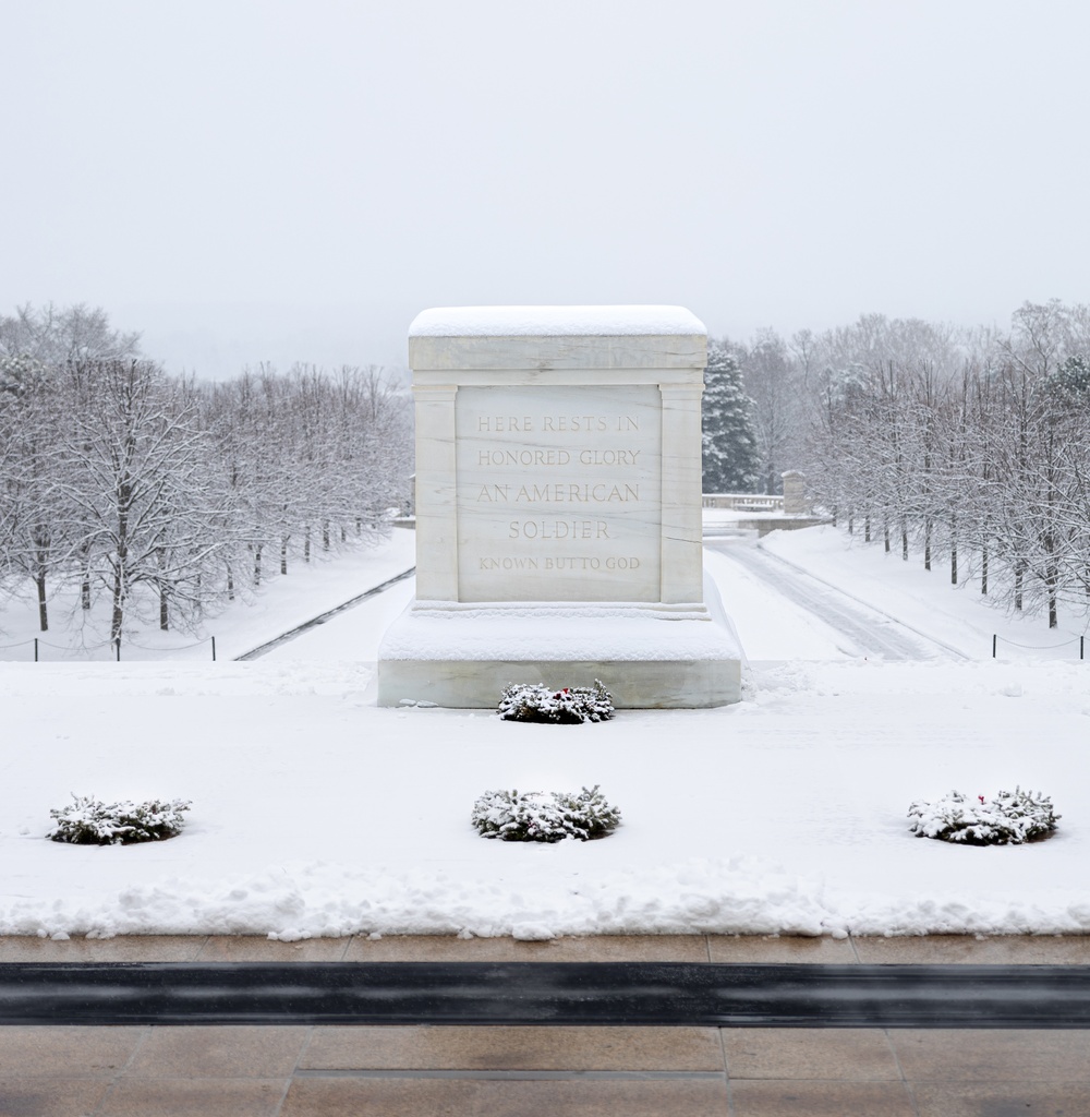 The Tomb of the Unknown Soldier in a Snowstorm