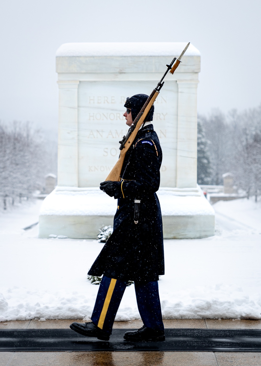 The Tomb of the Unknown Soldier in a Snowstorm