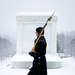 The Tomb of the Unknown Soldier in a Snowstorm