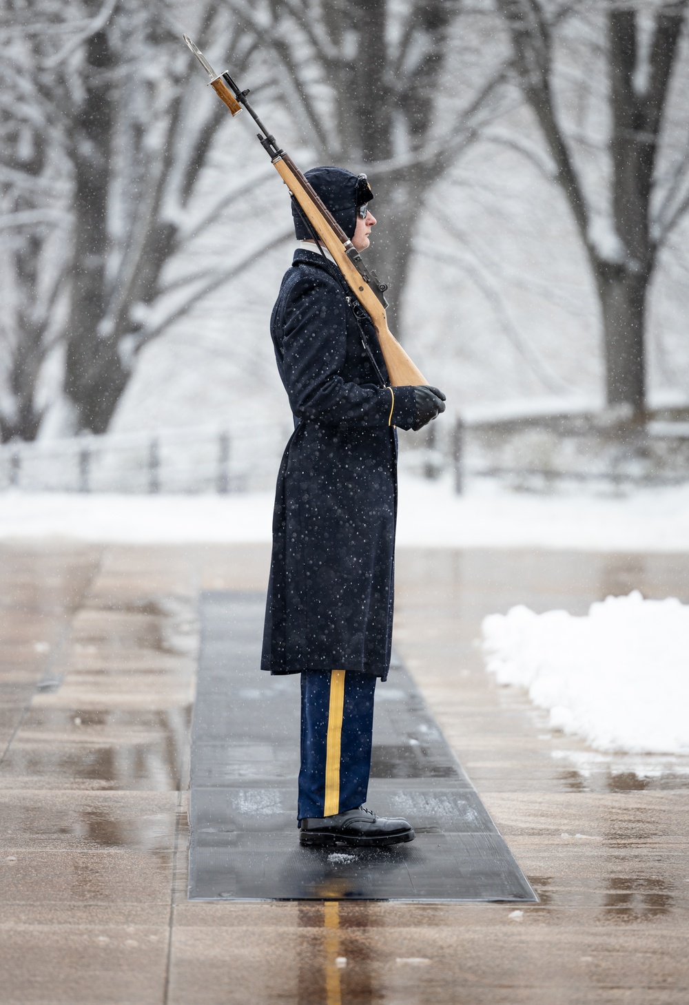 The Tomb of the Unknown Soldier in a Snowstorm