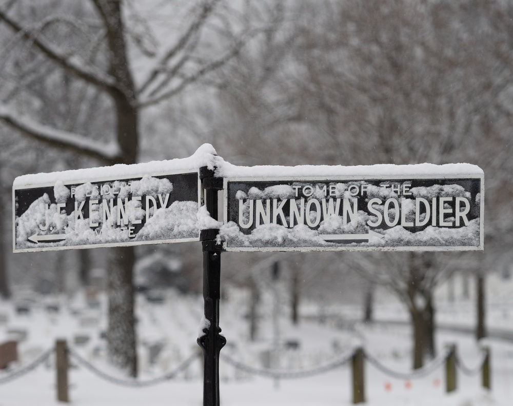 The Tomb of the Unknown Soldier in the Snow