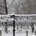 The Tomb of the Unknown Soldier in the Snow