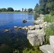 Buffalo River Habitat Restoration Completed at Katherine Street