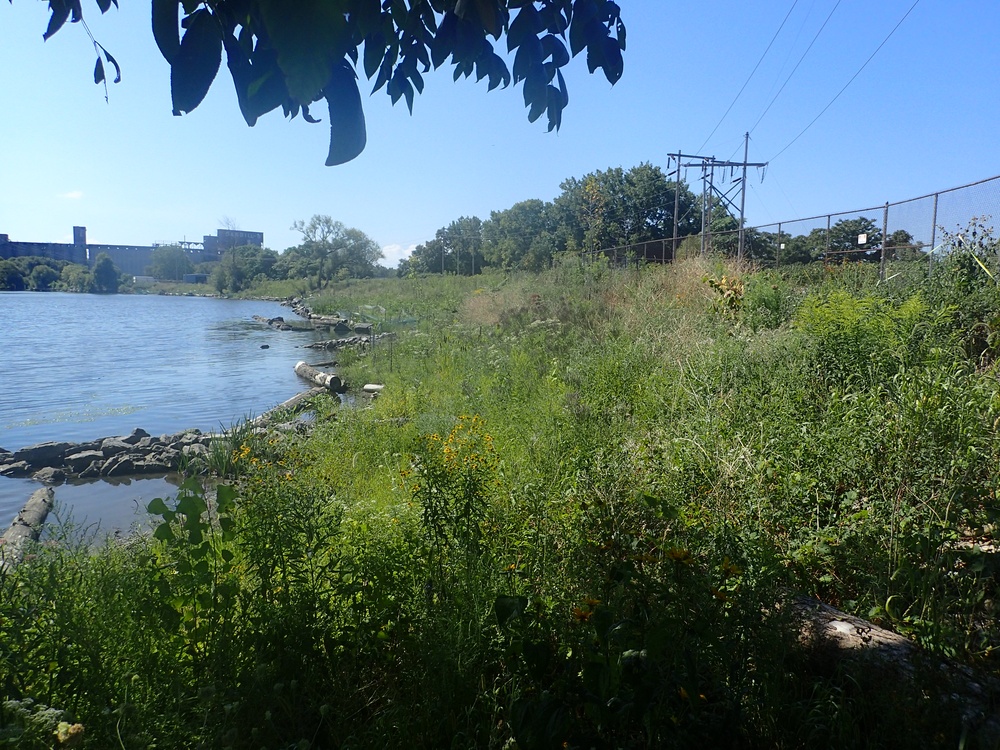 DVIDS - News - Buffalo River Habitat Restoration Completed At Katherine ...