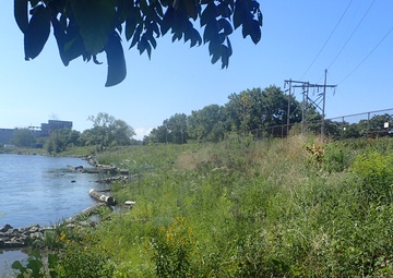 Buffalo River Habitat Restoration Completed at Katherine Street