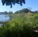 Buffalo River Habitat Restoration Completed at Katherine Street