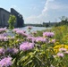 Buffalo River Habitat Restoration Completed at Katherine Street