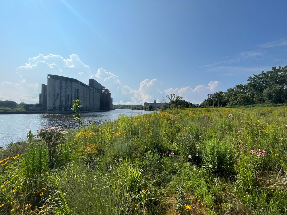 Buffalo River Habitat Restoration Completed at Katherine Street