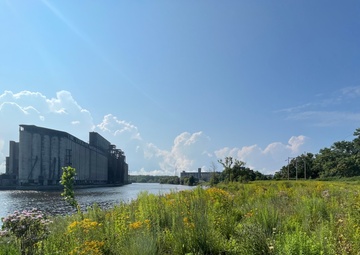 Buffalo River Habitat Restoration Completed at Katherine Street