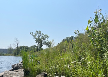 Buffalo River Habitat Restoration Completed at Katherine Street