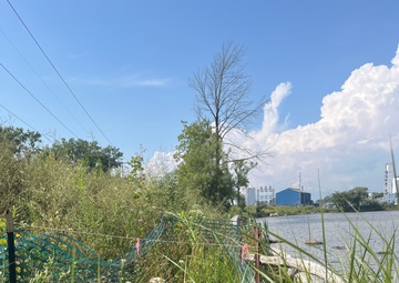 Buffalo River Habitat Restoration Completed at Katherine Street