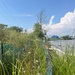 Buffalo River Habitat Restoration Completed at Katherine Street