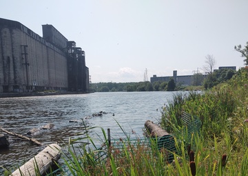 Buffalo River Habitat Restoration Completed at Katherine Street