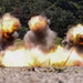 U.S. Marines with 2/7 Execute a Demolition Range