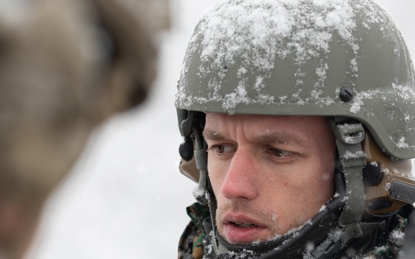 Bosnia and Herzegovina JTAC Operations